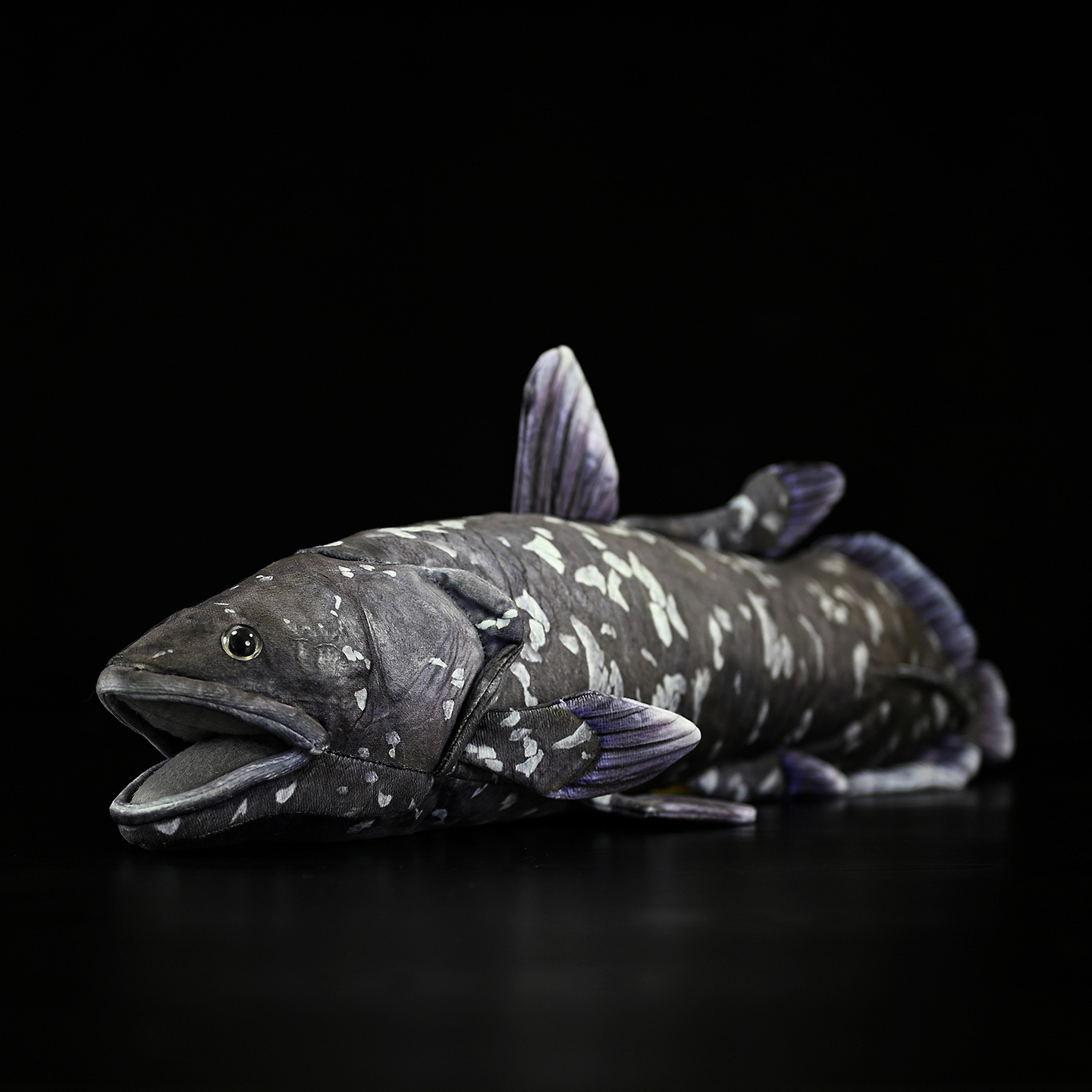 Coelacanth Fish Soft Stuffed Plush Toy