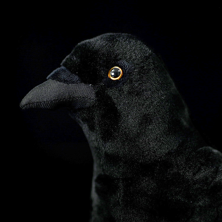 American Crow Bird Soft Stuffed Plush Toy